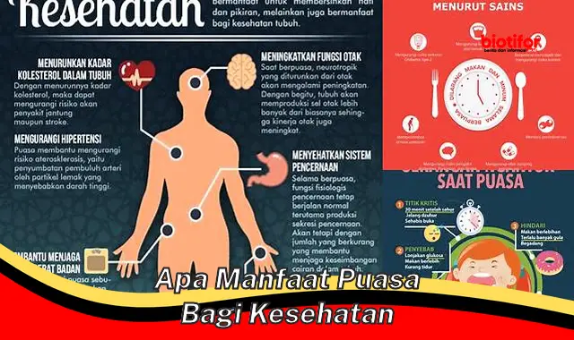 apa manfaat puasa bagi kesehatan