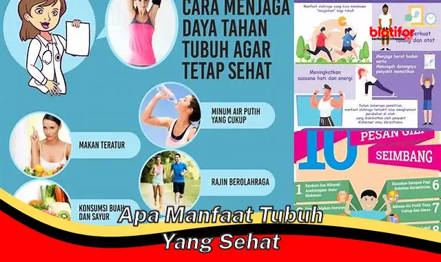 apa manfaat tubuh yang sehat