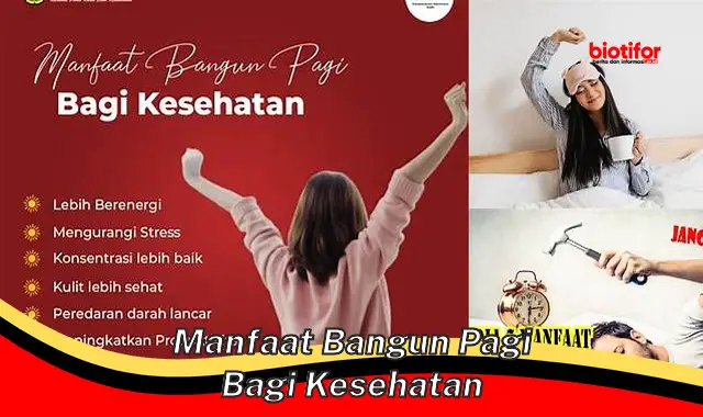 manfaat bangun pagi bagi kesehatan