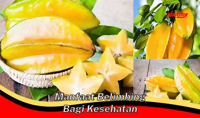 manfaat belimbing bagi kesehatan