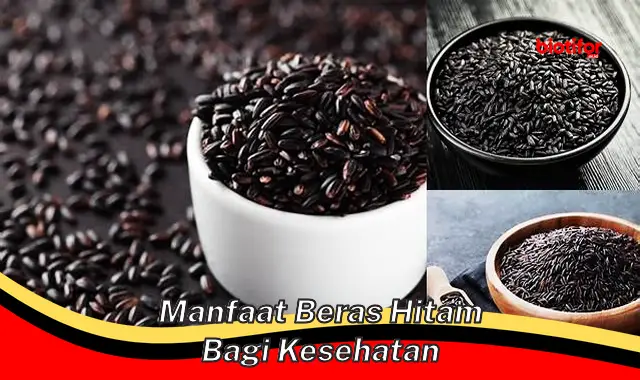 manfaat beras hitam bagi kesehatan