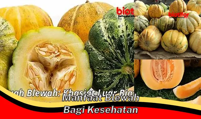 manfaat blewah bagi kesehatan