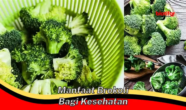 manfaat brokoli bagi kesehatan