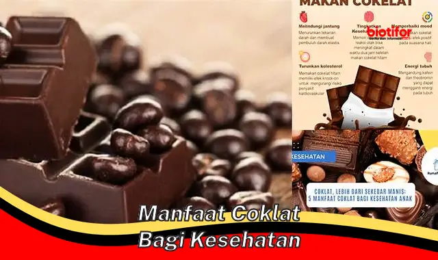 manfaat coklat bagi kesehatan