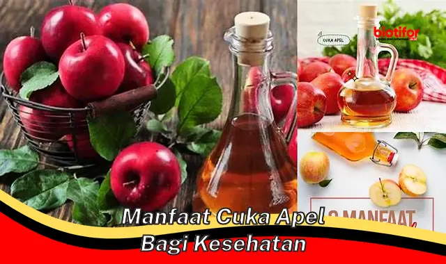 manfaat cuka apel bagi kesehatan