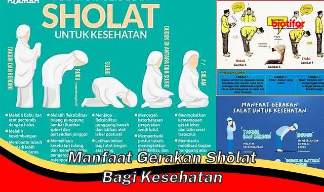 manfaat gerakan sholat bagi kesehatan