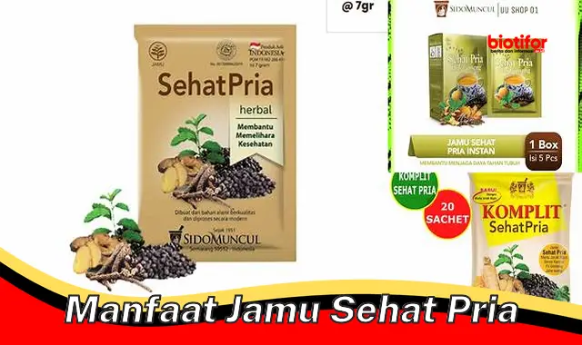 manfaat jamu sehat pria