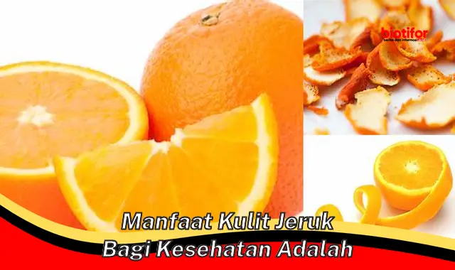 manfaat kulit jeruk bagi kesehatan adalah