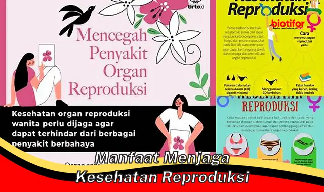 manfaat menjaga kesehatan reproduksi