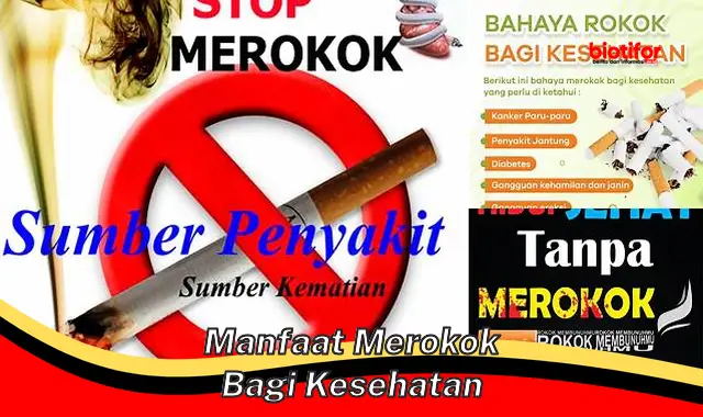 manfaat merokok bagi kesehatan