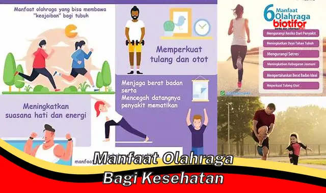 manfaat olahraga bagi kesehatan