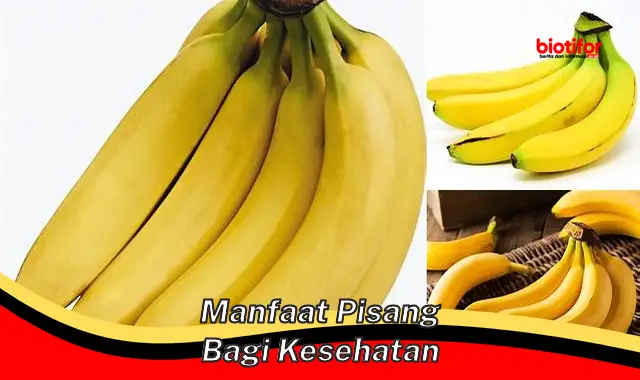 manfaat pisang bagi kesehatan