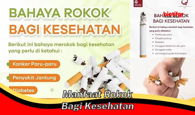 manfaat rokok bagi kesehatan