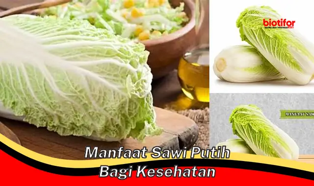 manfaat sawi putih bagi kesehatan