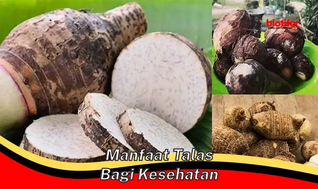 manfaat talas bagi kesehatan