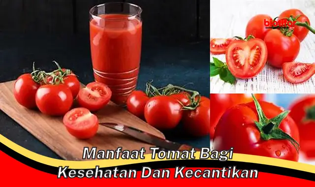 manfaat tomat bagi kesehatan dan kecantikan