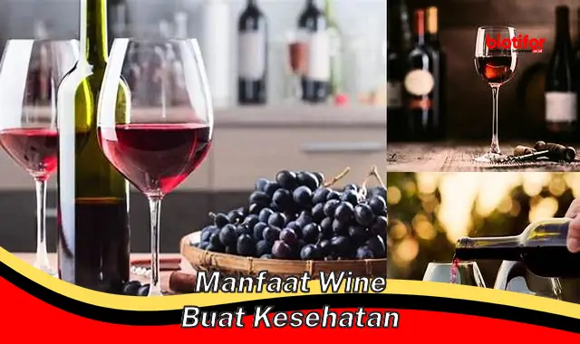 manfaat wine buat kesehatan