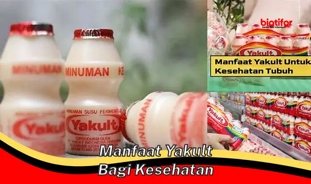 manfaat yakult bagi kesehatan