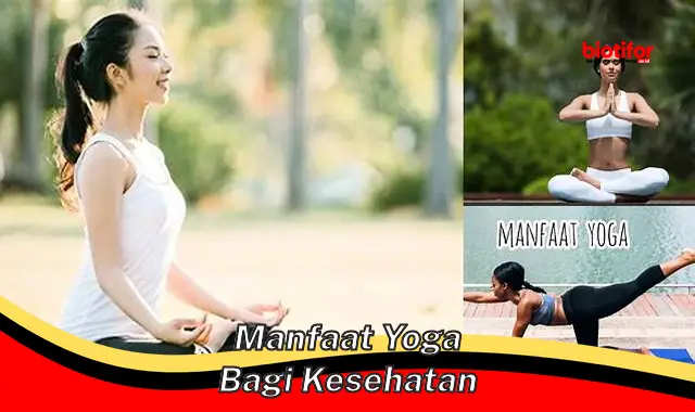 manfaat yoga bagi kesehatan