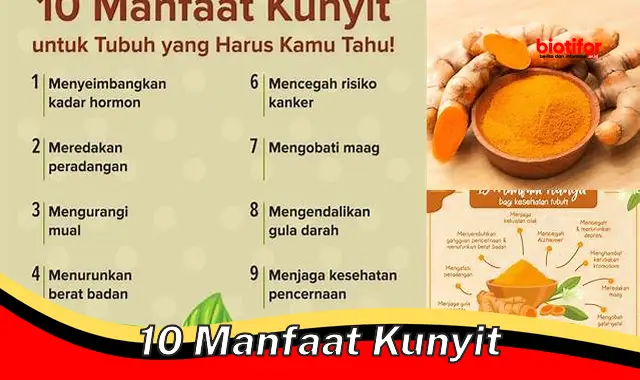 10 manfaat kunyit