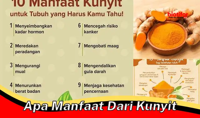 apa manfaat dari kunyit