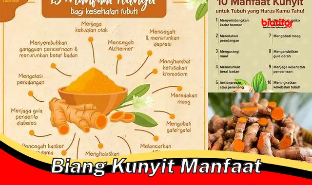 biang kunyit manfaat