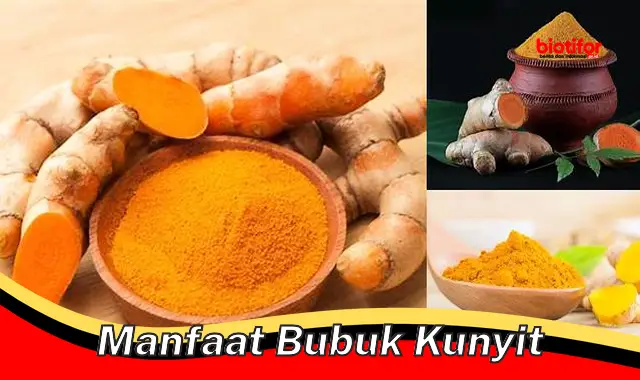 manfaat bubuk kunyit