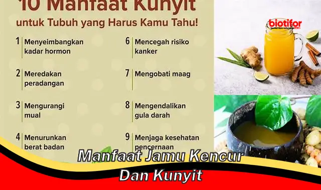 manfaat jamu kencur dan kunyit