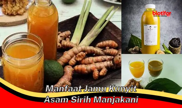 Temukan Manfaat Jamu Kunyit Asam Sirih Manjakani yang Jarang Diketahui