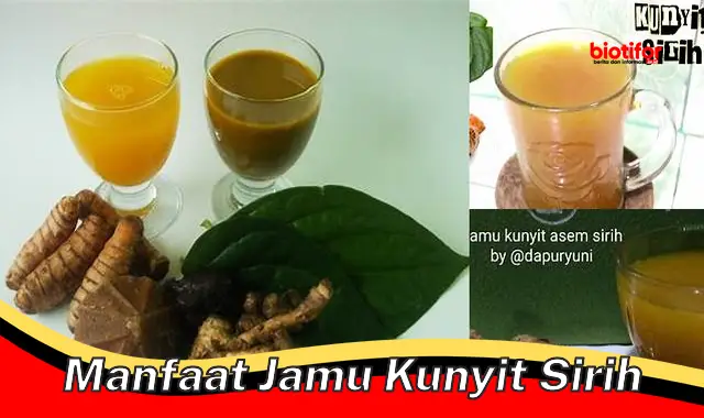 manfaat jamu kunyit sirih