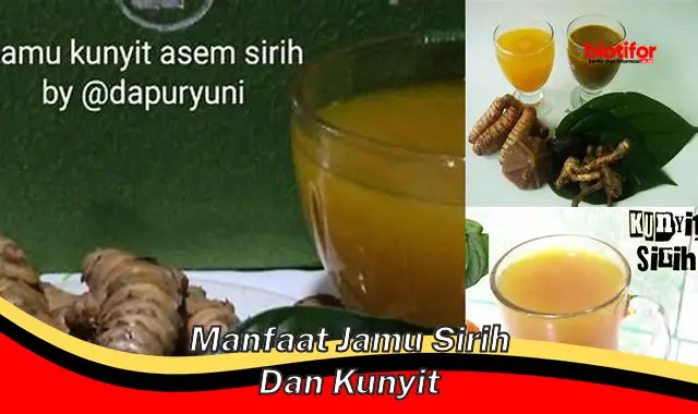 5 Manfaat Jamu Sirih dan Kunyit Wajib Kamu Ketahui