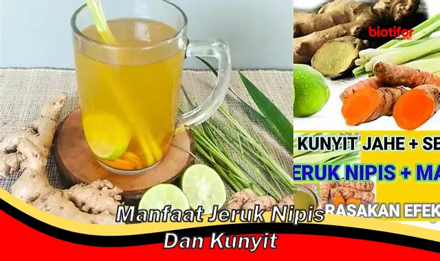 manfaat jeruk nipis dan kunyit