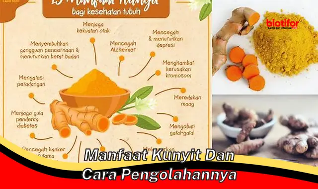 manfaat kunyit dan cara pengolahannya