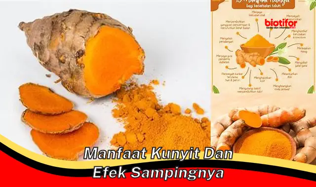 manfaat kunyit dan efek sampingnya