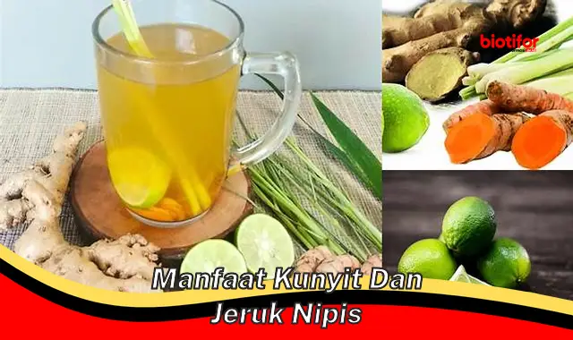 manfaat kunyit dan jeruk nipis