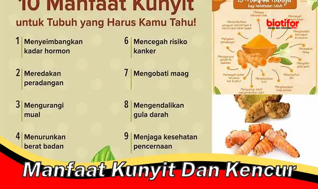 manfaat kunyit dan kencur