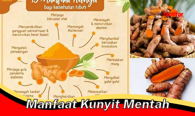 manfaat kunyit mentah