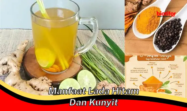 manfaat lada hitam dan kunyit