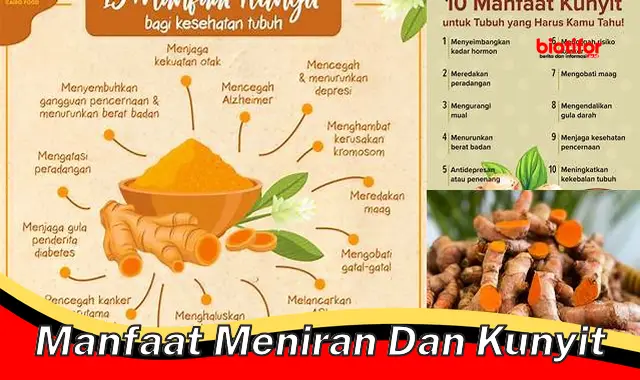 manfaat meniran dan kunyit