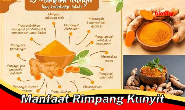 manfaat rimpang kunyit