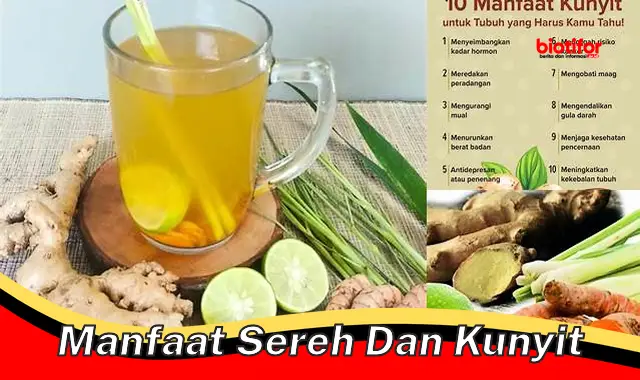 manfaat sereh dan kunyit