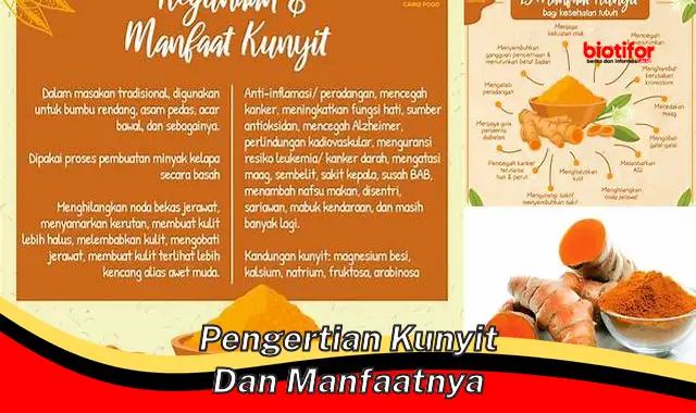 pengertian kunyit dan manfaatnya