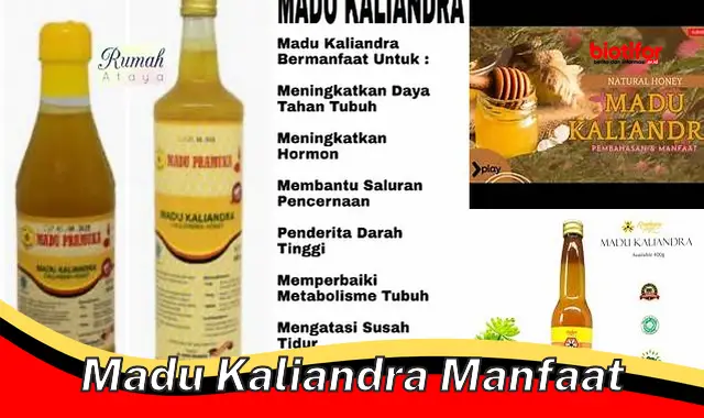 madu kaliandra manfaat