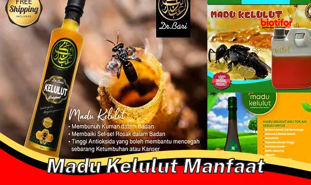 madu kelulut manfaat