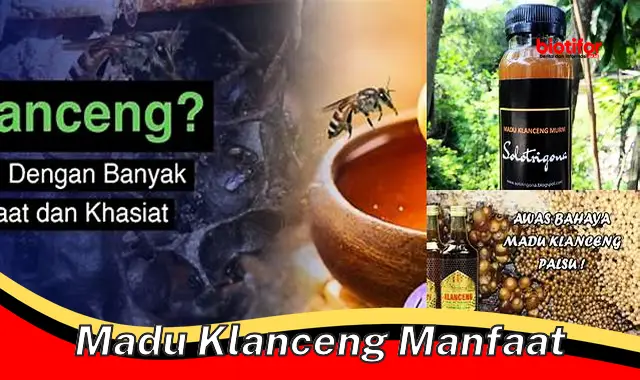 madu klanceng manfaat