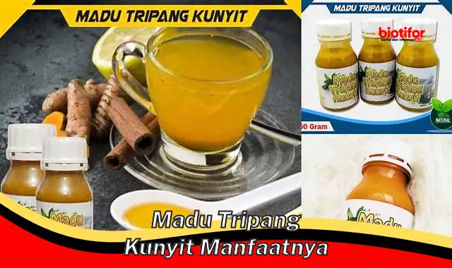 Temukan Khasiat Madu Tripang Kunyit yang Belum Banyak Diketahui