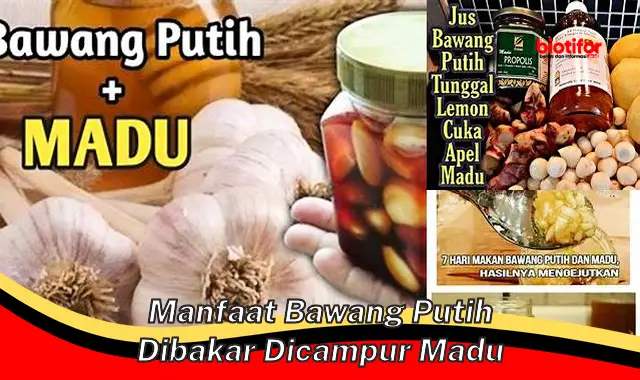 manfaat bawang putih dibakar dicampur madu