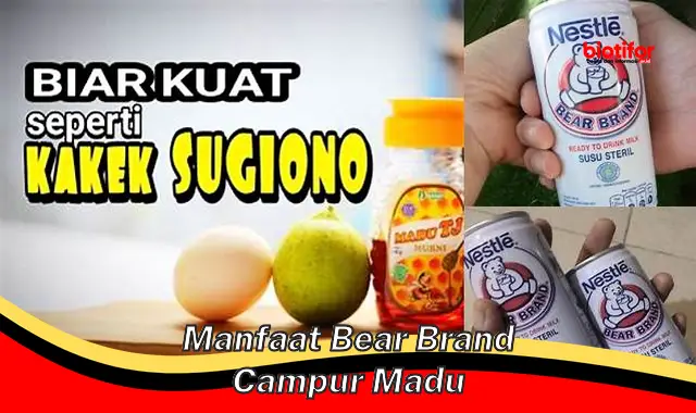 manfaat bear brand campur madu