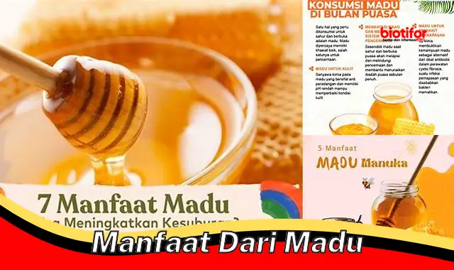 manfaat dari madu