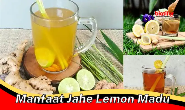 manfaat jahe lemon madu